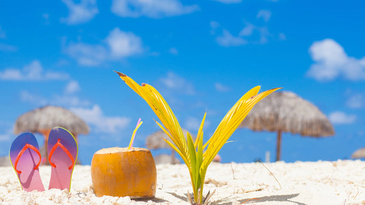 Preparándose para la Próxima Temporada Alta 2024: 5 Recomendaciones Esenciales para Hoteles y Resorts de Playa de Lujo en México